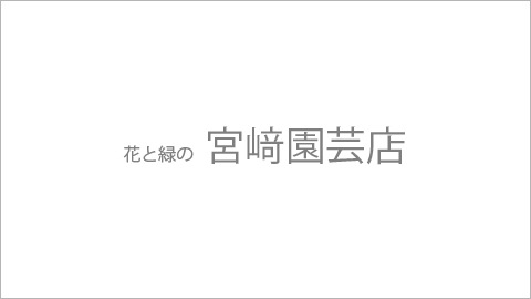 令和６年　お知らせ