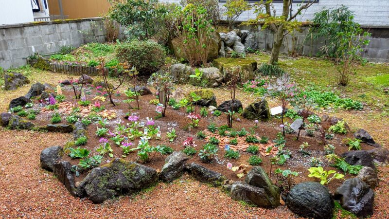 花壇植え　４月１０日