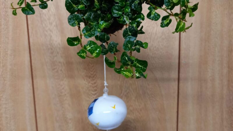 苔玉教室　R4.7.29