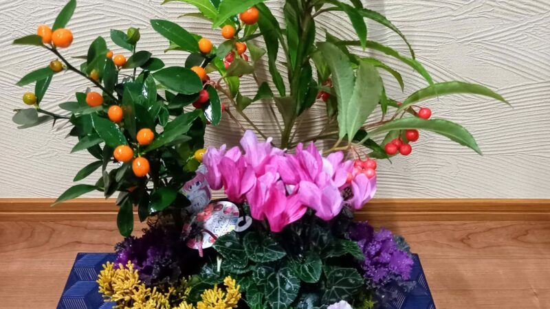 実物とお花の寄せ植え