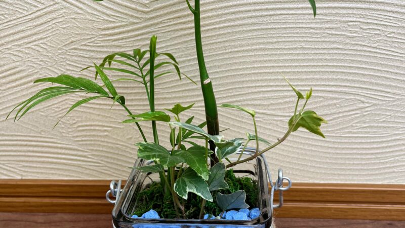 講習会　見本　ハイドロボール