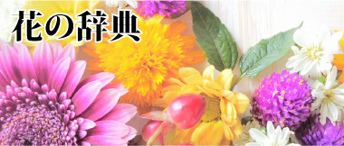 花の辞典