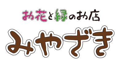 定休日のお知らせ