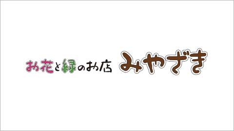 ヤブコウジ