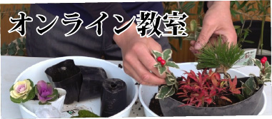 オンライン教室