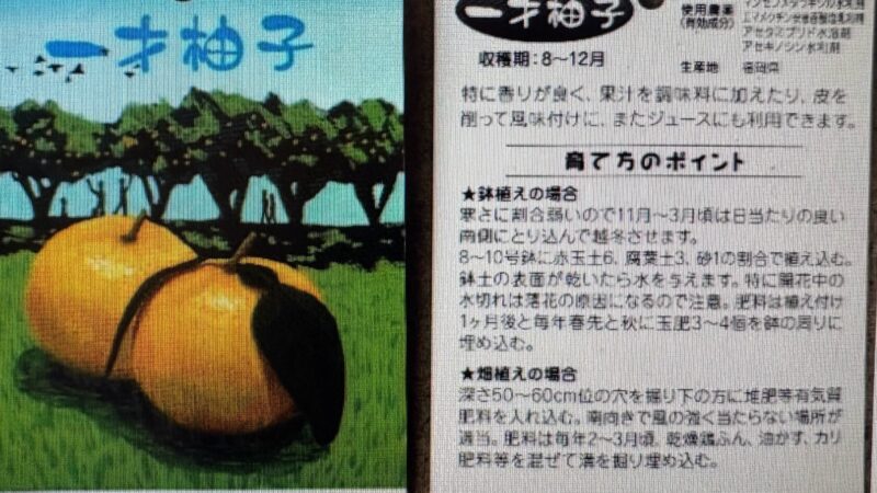 お問い合わせの件 ゆず