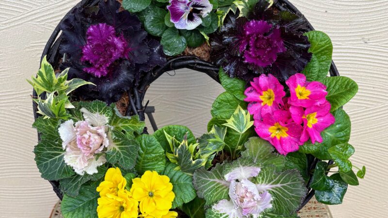 冬の玄関前向きのリース作り