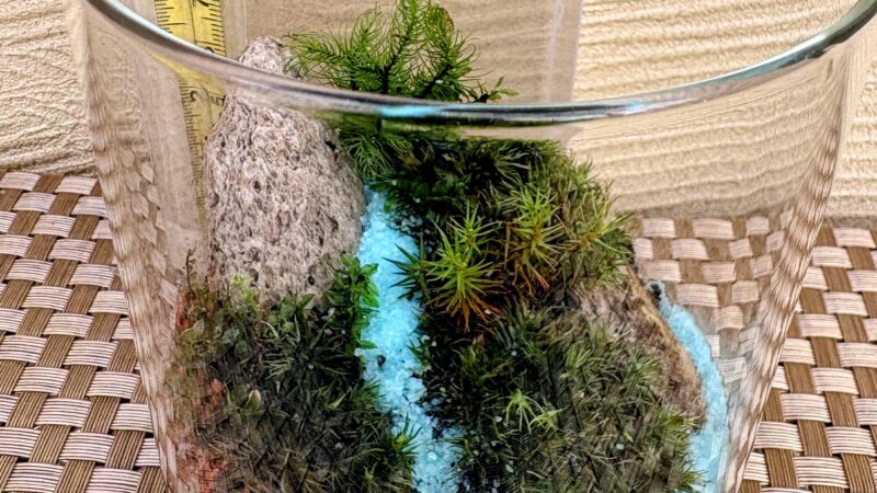 苔テラリウム講習会