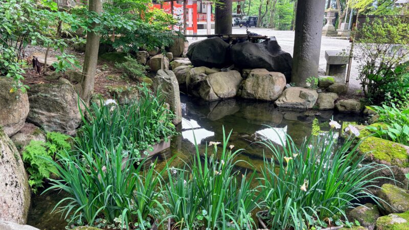 花菖蒲の浮き島作り